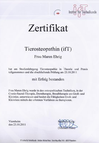 Zertifikat des Institut für Tierheilkunde Viernheim (ifT) über die erfolgreiche Teilnahme am Studienlehrgang "Tierosteopathie in Theorie und Praxis" mit Prüfung